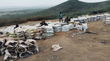 Hiring more staff on your request